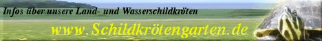 Banner_ Schildkrtengarten.de