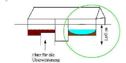 Schildkroetenhaus_WS3